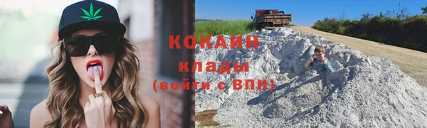 гидра Верхний Тагил