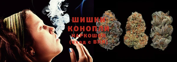прущие крисы Верея