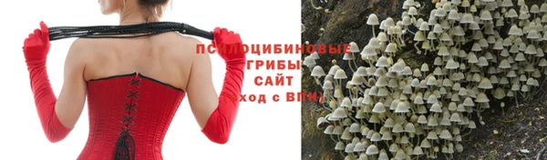 mdpv Ступино