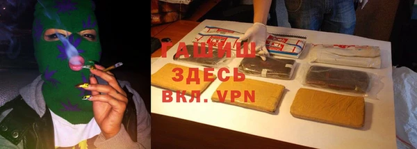 гидра Верхний Тагил